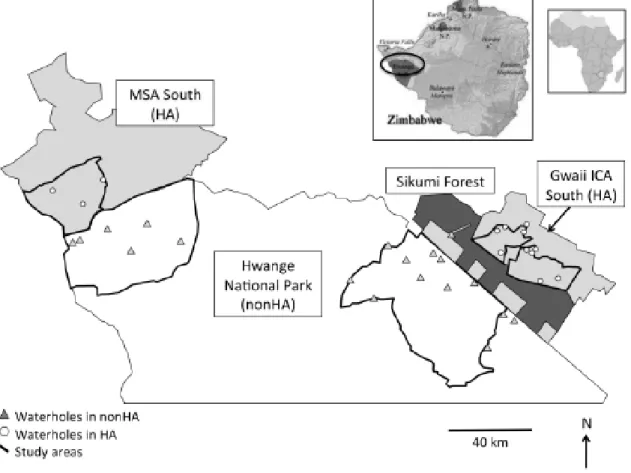 Figure 2.1: Hwange National Park (nonHA) and adjacent hunting areas (Gwaii ICA South  and MSA south, HA) in Zimbabwe