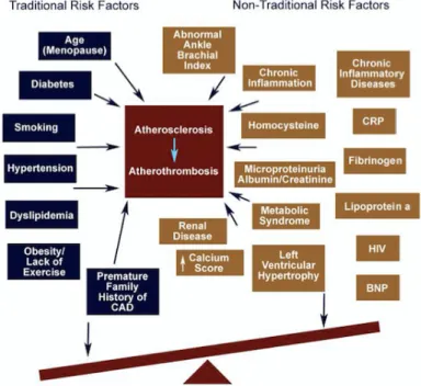 Figure G Les facteurs de risques cardiovasculaire 