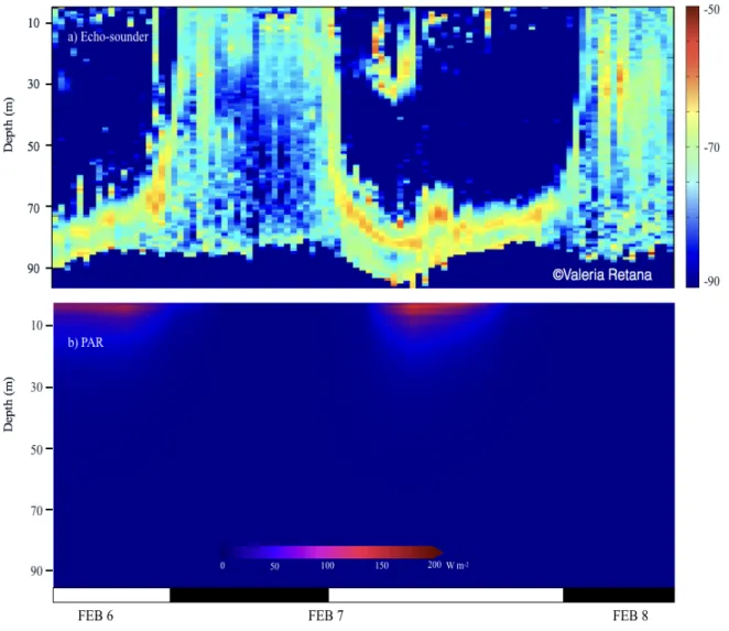 Figure  4.  a)  Echogram  (EK  60,  120Hz)  for  organisms  larger  than  1 cm  (e.g.  krill)  in  the  SJG  central  area,  showing  migration  behavior  during  the  day  (white  bars)  and  at  dusk  (black bars)