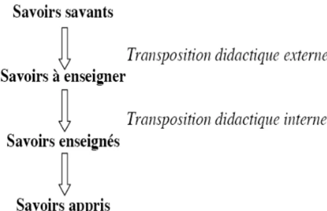 Figure 2 : Adaptation du schéma de la transposition didactique de Chevallard (1985) 