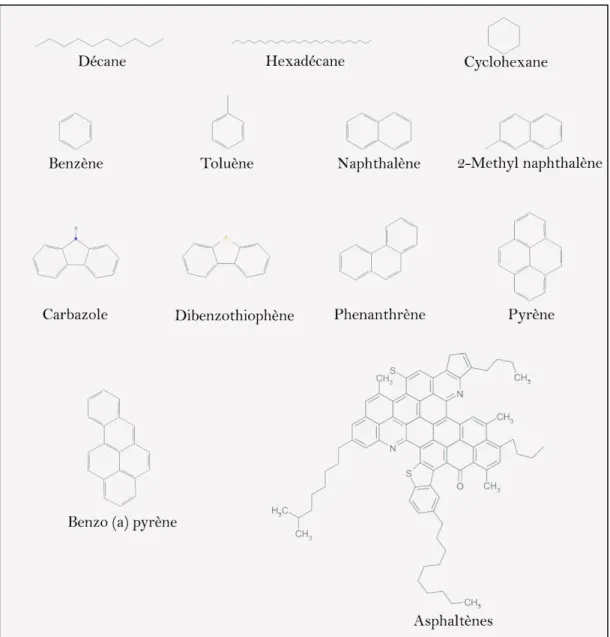 Figure  2.  Illustration  structurale  de  certains  composés  hydrocarbonés  retrouvés  dans  les  pétroles bruts
