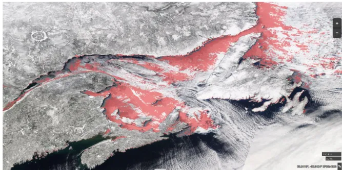 Figure 3. Estimation (en rouge) de la couverture de glace hivernale dans l’estuaire et le golfe  du Saint-Laurent