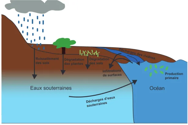 Figure 3 : Possibles sources de CO terrigène alimentant les eaux souterraines en MOD   Plusieurs  méthodes  peuvent  être  utilisées  afin  de  déterminer  l’origine  du  COD