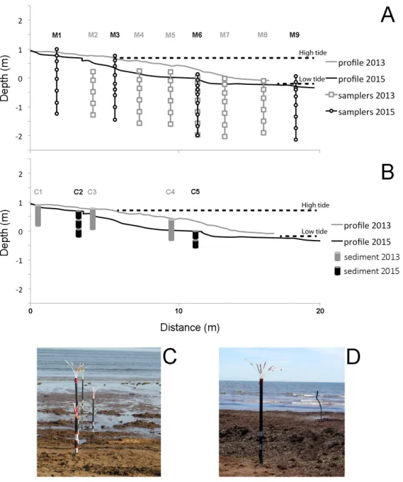 Figure 6 : Cross-shore transect on the studied beach in 2013 (grey) and 2015 (black). A)  Location  of  the  different  multi-level  samplers  (M1  to  M9)
