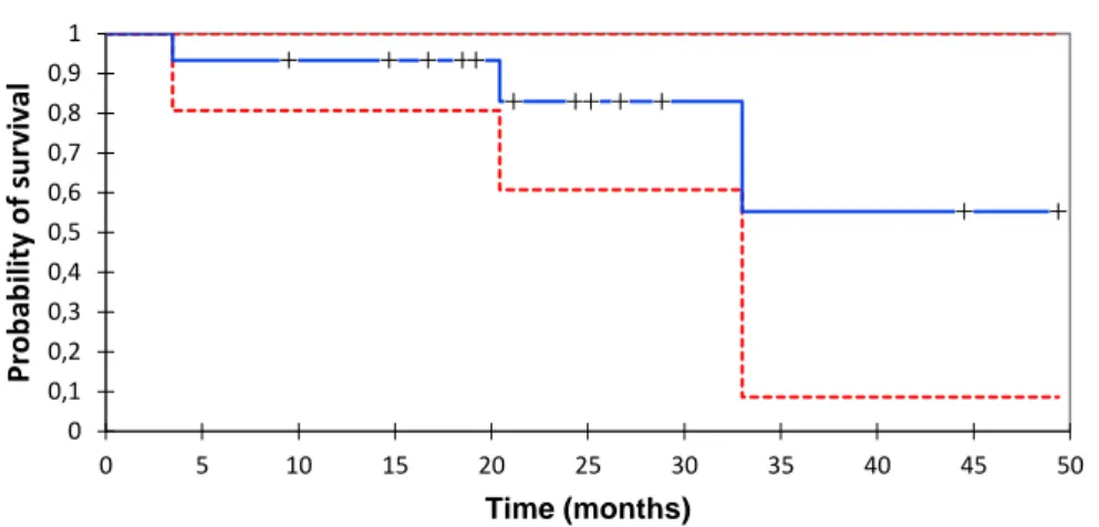 Figure 6 Overall survival (OS). Probability of survival in the overall population in blue line, with a 95% 