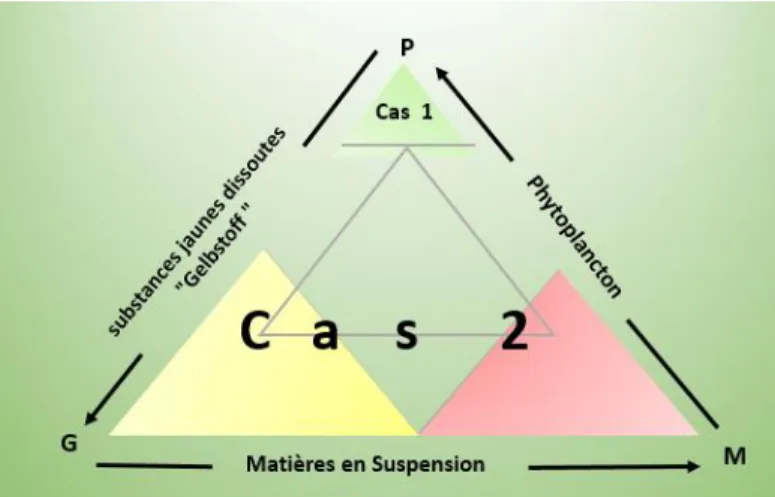 Figure  1-4 :  Représentation  schématique  d’eaux  de  Cas-1  et  Cas-2.  (Modifiée  d’IOCCG, 2000) 