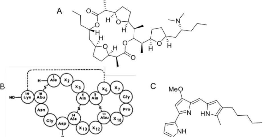 Figure 1.6. Structures de transporteurs naturels. A) La paramycine. 18  B) La duramycine