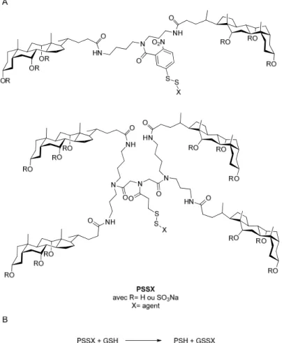 Figure 1.22. A) Parapluies moléculaires contenant un pont disulfure. B) Équation de la  réaction d’échange entre le parapluie moléculaire et le glutathion (GSH)