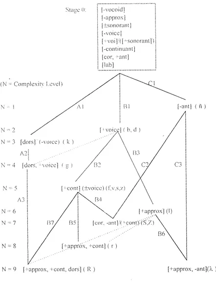 Figure 3.4: Modèle implicationnel de la complexité des traits, tiré de Mota (1996)