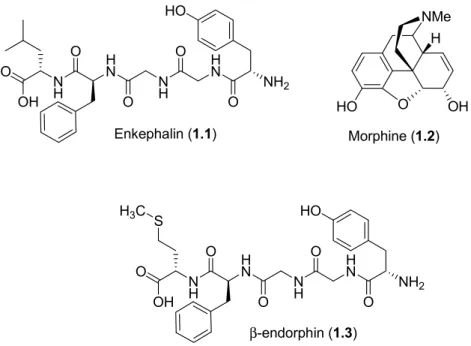 Figure 1.2 Examples of peptide and non-peptide opioid receptor ligands 