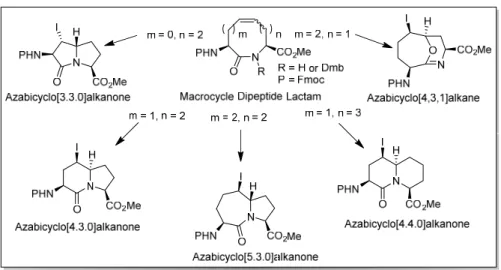 Figure 2.1 Iodo-azabicyclo[X.Y.Z]alkane synthesis  2.2 Introduction 