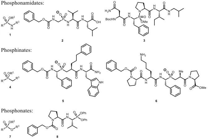 Figure  1.1.  Exemples  d’inhibiteurs  phosphorés  :  les  phosphonamidates,  phosphinates  et  phosphonates
