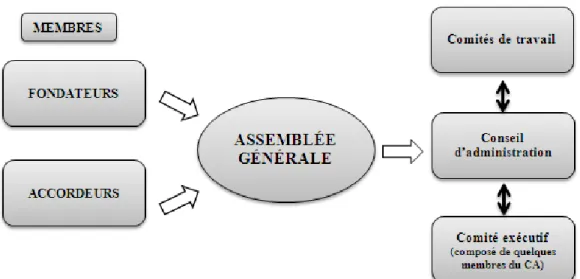 Figure 1.- Représentation schématique des parties constitutives de l’ARN. 