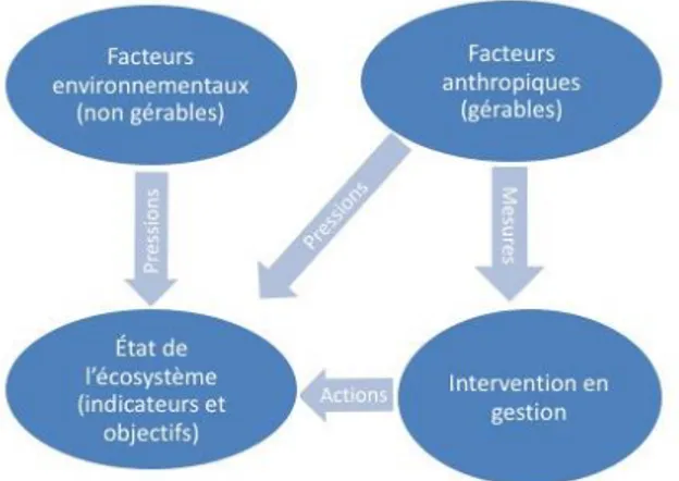 Figure 3 : Facteurs d’influence sur l’état d’un écosystème et le potentiel d’intervention en  gestion