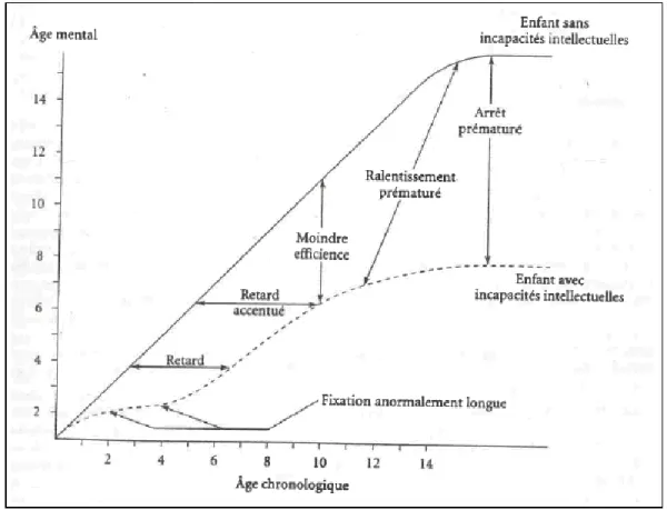 Figure 7 : Courbes illustrant des caractéristiques du développement et du  fonctionnement d'un enfant qui a des incapacités intellectuelles (Dionne et coll., 1999, 
