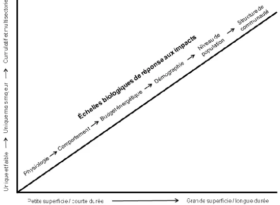 Figure  1.1  Représentation  schématique  des  différents  niveaux  de  réponses  aux  impacts  anthropiques  sur  la  faune  selon  la  magnitude  relative  et  l’échelle  spatio-temporelle  de  l’effet (tiré de St-Laurent et al