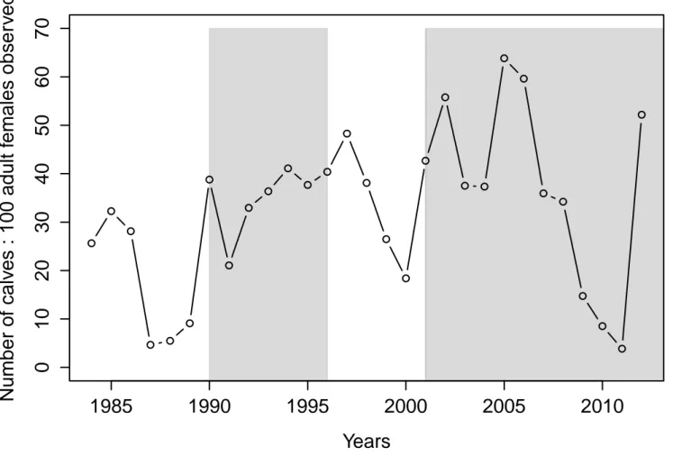 Figure  2.3  Number  of  calves  per  100  adult  females  observed  during  the  annual  aerial  surveys  conducted  between  1984  and  2012  in  the  Atlantic-Gaspésie  caribou  population