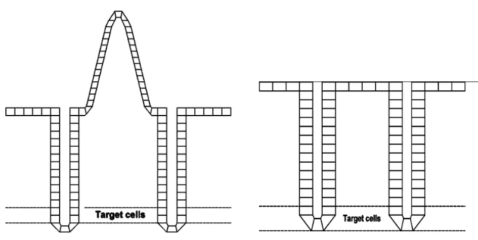 Figure 1.10 – Coupe sagittale des parois de l’intestin grêle (à gauche) et du colon (à droite), montrant la couche de cellules cibles au fond des cryptes, d’après la CIPR 100.
