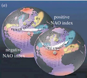 Figure 0.6  Représentation  schématique  du  lien  de  l’O.A.N  avec  les  trois  principales  variables  météorologiques  locales,  les  températures,  les  précipitations  et  l’activité de tempêtes, en fonction de ses phases négatives (à gauche) et posi