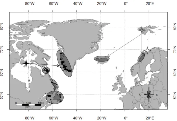 Figure 1.1  Approximate  winter  (Dec-Mar)  distribution  (ellipses)  of  female  Common  eiders  breeding  in  Canada  (black  star),  Svalbard  (grey  star)  and  northern  Norway (white star) islands