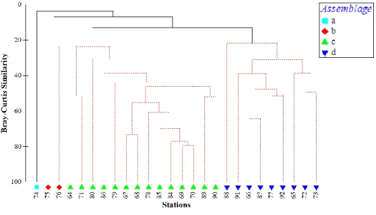 Figure  6  :  Taxonomic  cluster  based  on  Bray-Curtis  Similarity  matrix  using  epifauna  taxonomic abundance by station