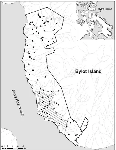 Figure 1.1  Map of  the  south  plain  of  Bylot  Island  (73°  N,  80°  W),  Nunavut,  Canada, showing the study area (black line), known arctic fox dens (triangles) and the  snow goose nesting colony (dashed area)