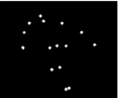 Figure 1-11: A frame from a soccer kick biological motion stimulus  