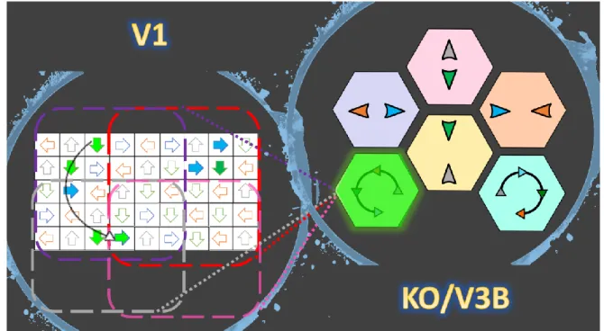 Figure 1-14: The color-filled arrows in the white square boxes demonstrate the activated local  motion  detectors  at  one  point  in  time