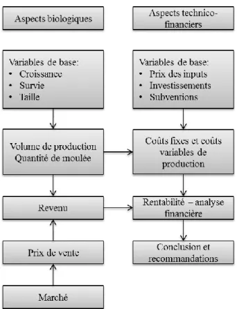 Figure 1. Structure générale du modèle technico-économique. 