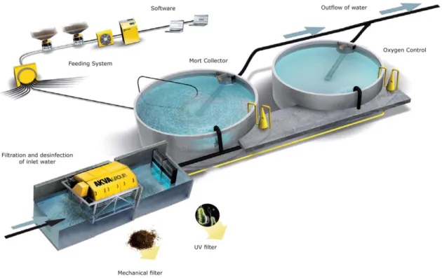 Figure 6. Exemple de système en circuit recyclé (AKVAGroup). 