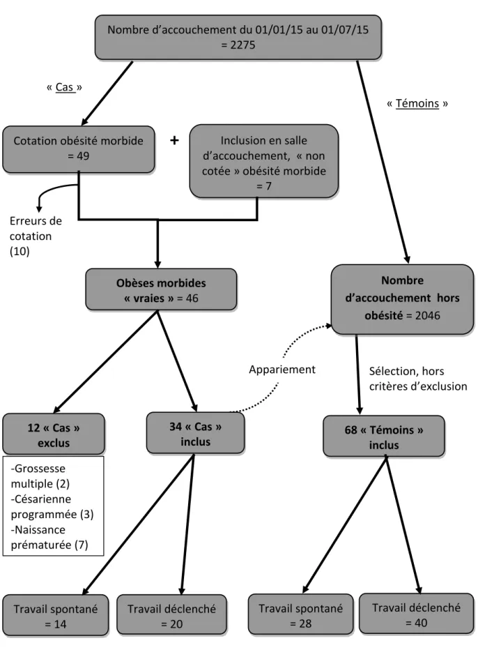 Figure 4 : Diagramme de flux. Schéma récapitulatif des inclusions/exclusions. 