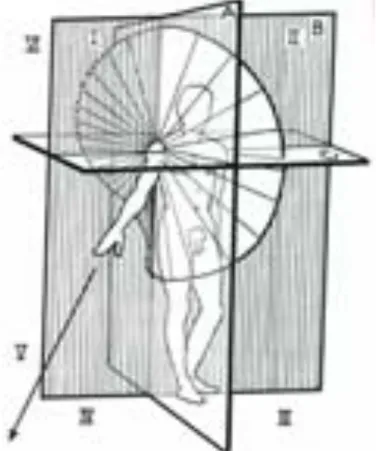 Figure 5 cône de circumduction de Kapandji 