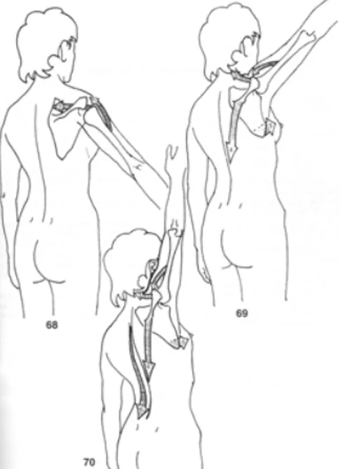 Figure 8 le mouvement d'abduction selon Kapandji 21