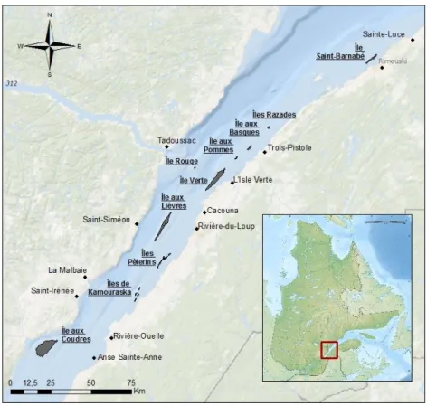 Figure 2. Carte illustrant les îles autour desquelles des œufs de hareng (Munro et al., 1998)  ont été retrouvés dans l’estuaire moyen et l’estuaire maritime du Saint-Laurent