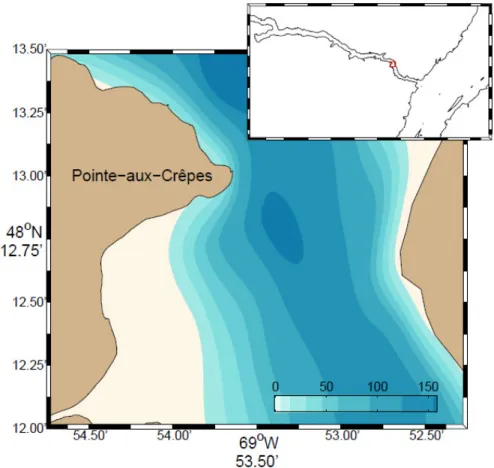 Figure 4: Bathymétrie de la baie en aval de Pointe-aux-Crêpes dans le fjord du Saguenay