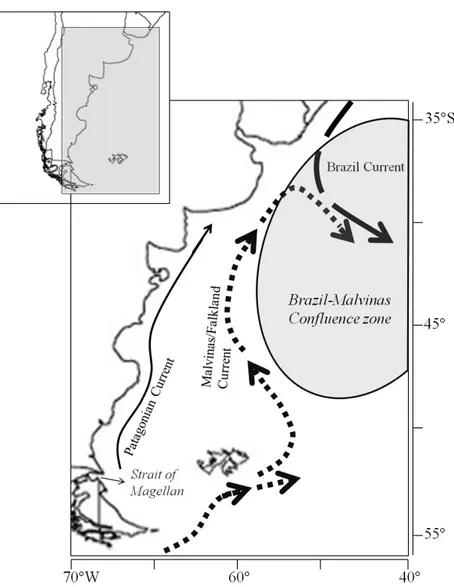 Figure  1.  Patron  général  de  circulation  océanique  de  la  région  du  plateau  continental  Patagonien