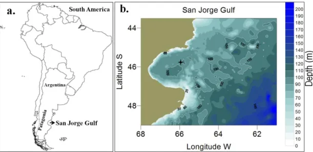 Figure  2.  a)  Location  of  the  San  Jorge  Gulf  in  Patagonia,  Argentina  b)  Approximate  location  of  the  fixed  station  in  the  SJG  (four-pointed  star)
