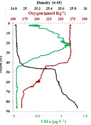 Figure 3. Profiles of Chl a, oxygen and density at the fixed station (cast SF1, 14h00, feb 6  2014)