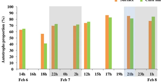 Figure  6.  The  R A/H   ratios  over  the  short  period  at  surface  and  Chl  a  max