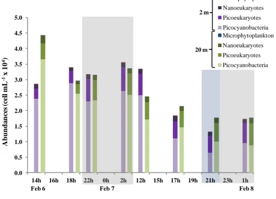 Figure 7. Autotroph cell abundances of picocyanobacteria, picoeukaryotes, nanoeukaryotes  and  microphytoplankton  at  surface  (2  m;  left  bars)  and  Chl  a  max  (~20-25  m;  right  bars)  over time