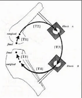 Figure 1.17 Transformations nécessaires entre différents repères pour évaluer   la cinématique tridimensionnelle selon le protocole de Korvick et al