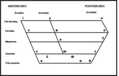 Figure 1: Trapèze articulatoire des voyelles françaises (d’après Léon, 2011, p.114) 