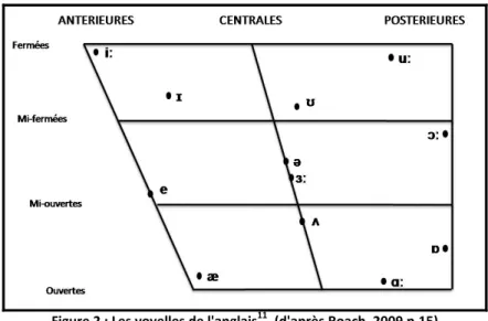 Figure 2 : Les voyelles de l'anglais 11 , (d'après Roach, 2009 p.15)