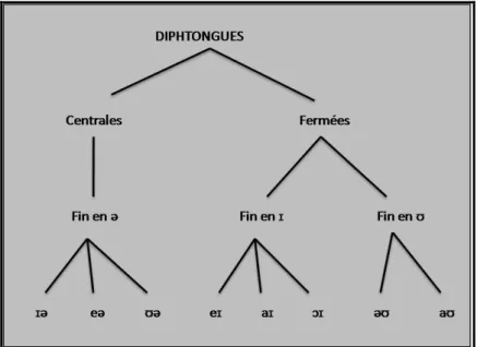 Figure 3 : Les diphtongues en anglais britannique (d'après Roach, 2009, p.17) 