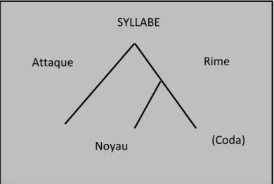 Figure 4 : La structure de la syllabe (d'après Labrune, 2005, p.101)