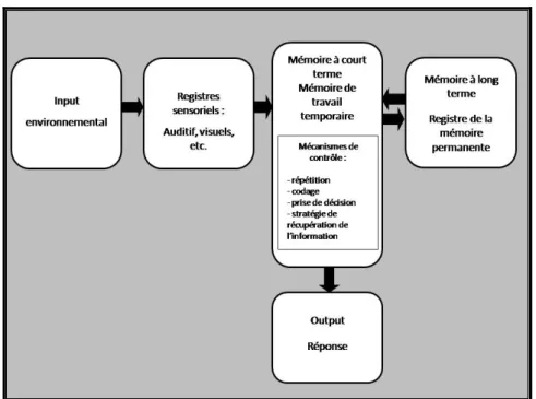 Figure 7 : Modèle de mémoire à trois registres (d’après Atkinson et Shiffrin, 1971, p.85) 