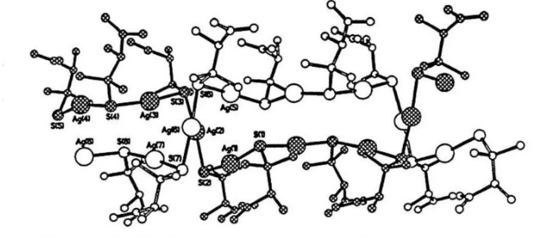 Figure 1 : Structure en double hélice entre deux penicillamines liées à l’argent (de Bell et al 1997) 