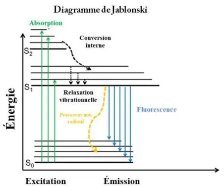 Figure  6 :  Principe  de  la  fluorescence  et  diagramme  de  Jablonski  modifié  de  