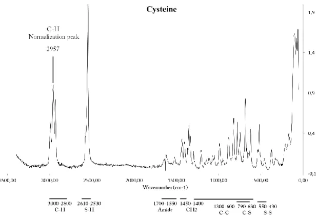 Figure 7 : Raman spectra of cysteine and its stretching region between 0 and 3500 cm -1