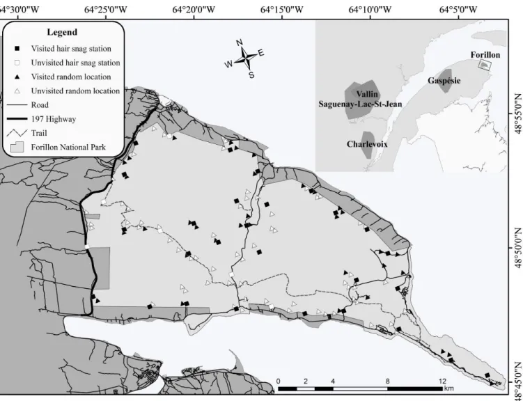 Figure 1.  Delineation  of  Forillon  National  Park  and  of  the  study  area,  and  distribution  of  hair-snag     stations  and  random  sites  for  camera  traps  in  2015  (Gaspésie  Peninsula,  Québec,  Canada)